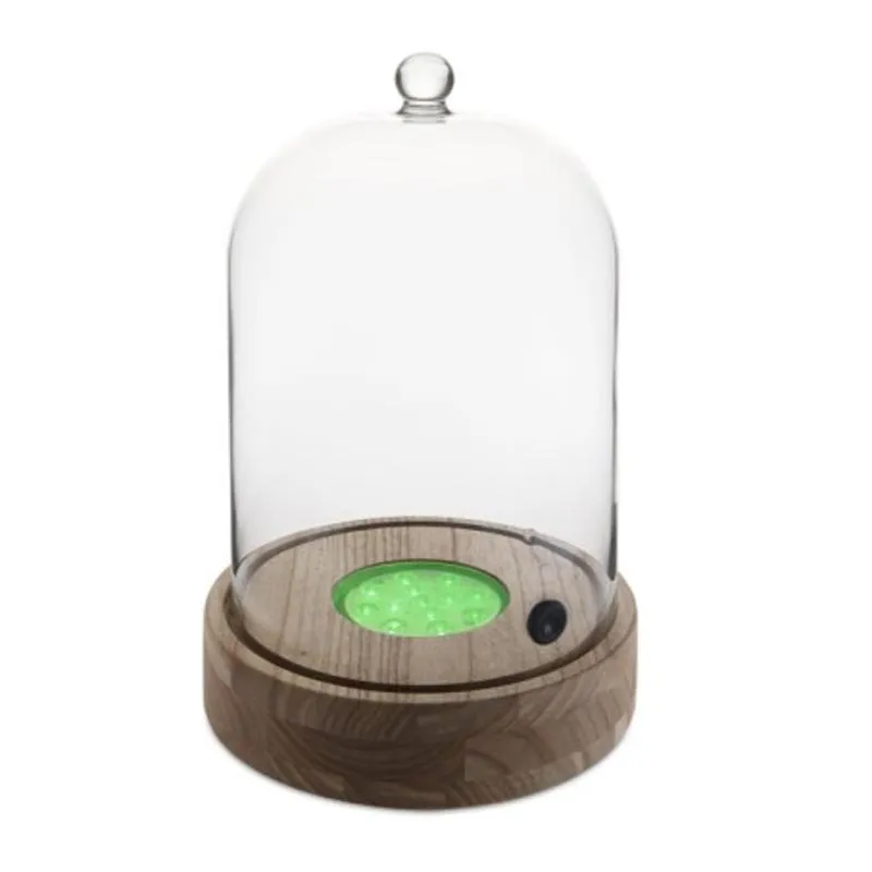 100% Chef Işıklı Kokteyl Tabanı, 21.5x32.2 cm