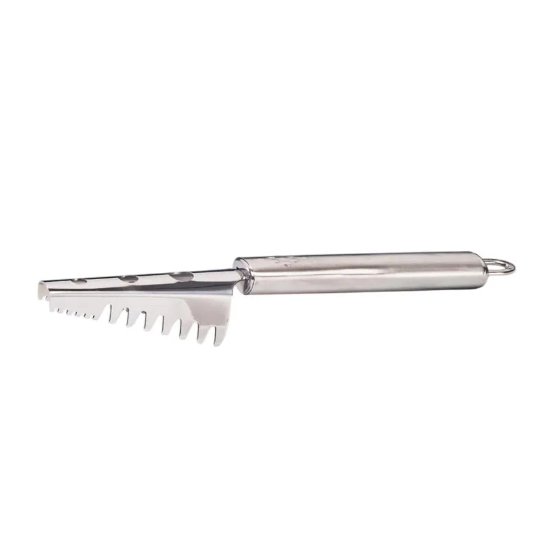 Zicco A-8655 Balık Pulu Temizleyici