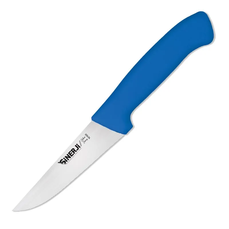Sinerji Silver No 0 Plastik Saplı Kasap Bıçağı, 12.5 cm, Mavi