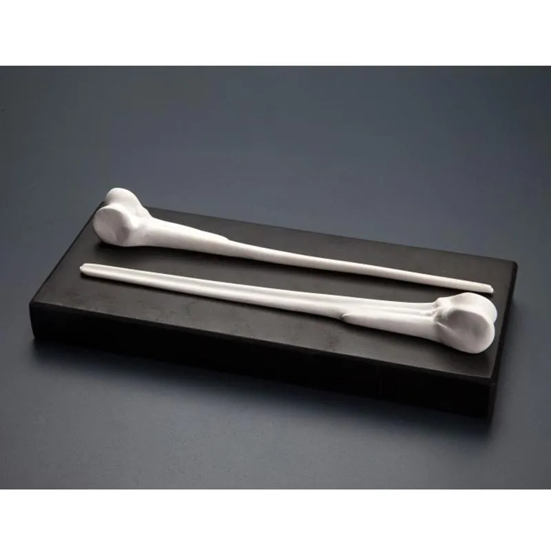 100% Chef Bone Skewer Şiş, 18 cm, 3 Adet