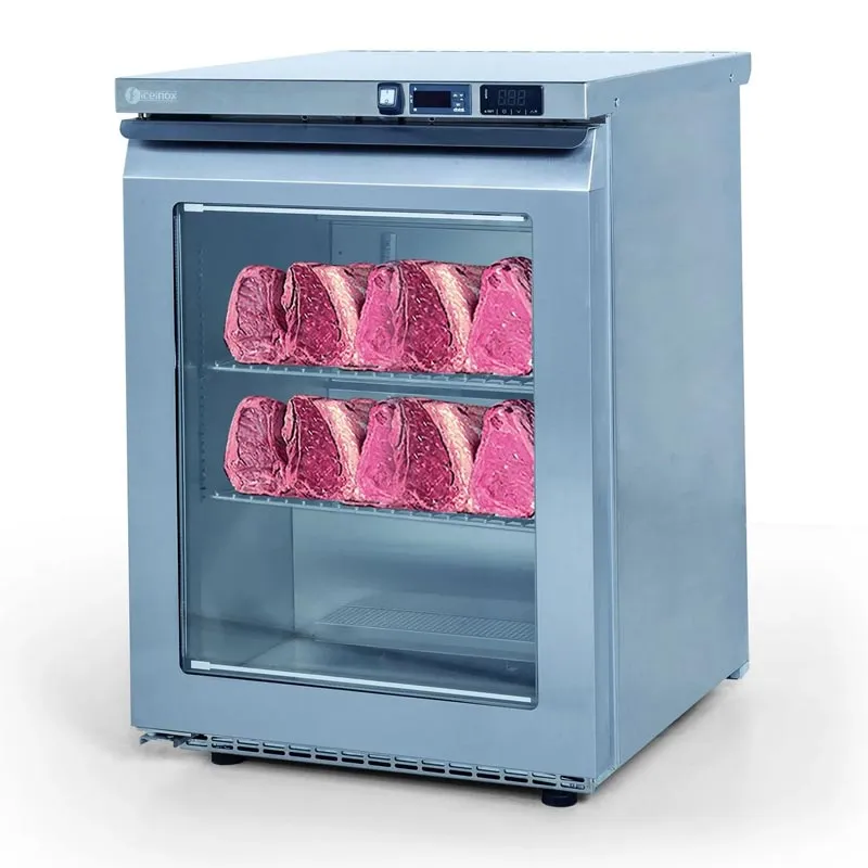 Iceinox DAG 140 Dry Aged Buzdolabı, 1 Kapılı