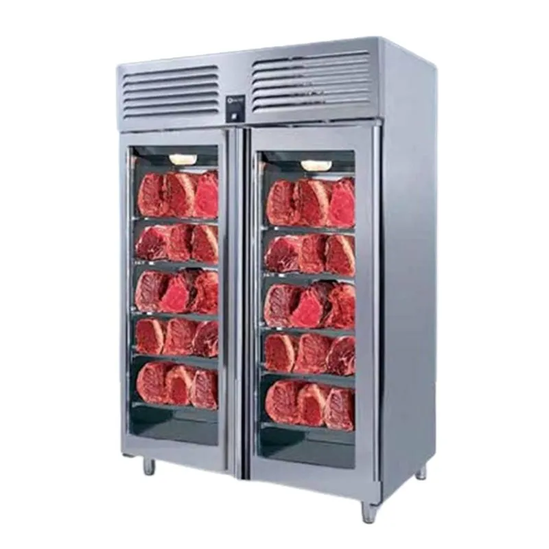 Iceinox DAG 1340 Dry Aged Dolap, 2 Kapılı